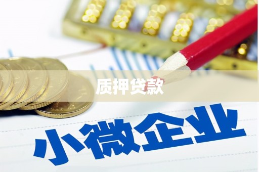 嵊州质押贷款