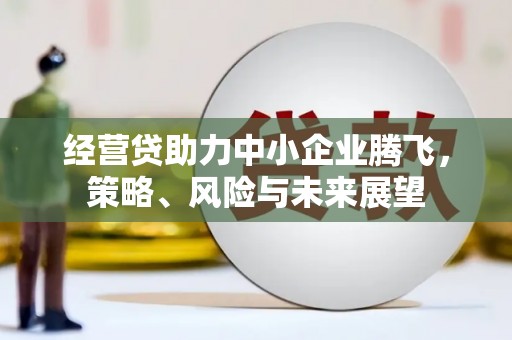 嵊州经营贷助力中小企业腾飞，策略、风险与未来展望