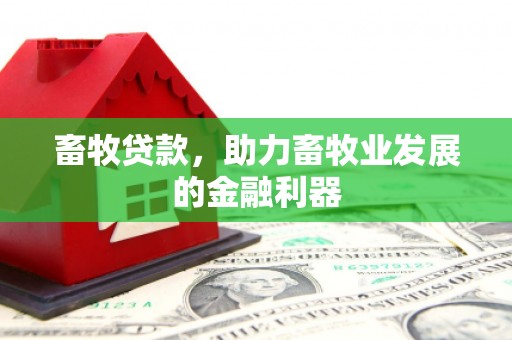 嵊州畜牧贷款，助力畜牧业发展的金融利器