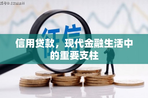 嵊州信用贷款，现代金融生活中的重要支柱