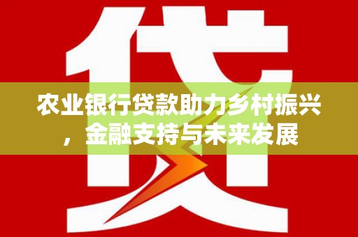 嵊州农业银行贷款助力乡村振兴，金融支持与未来发展