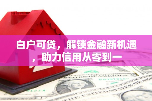 嵊州白户可贷，解锁金融新机遇，助力信用从零到一