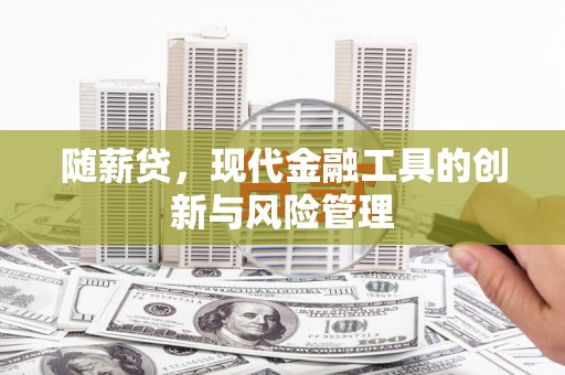 嵊州随薪贷，现代金融工具的创新与风险管理