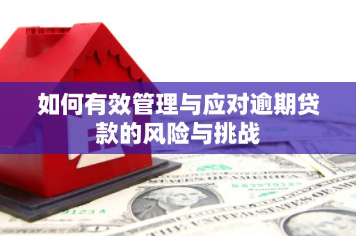 嵊州如何有效管理与应对逾期贷款的风险与挑战