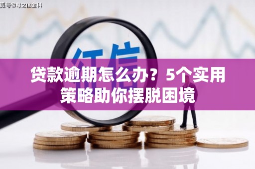 嵊州贷款逾期怎么办？5个实用策略助你摆脱困境