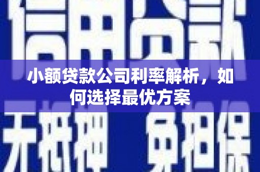 嵊州小额贷款公司利率解析，如何选择最优方案