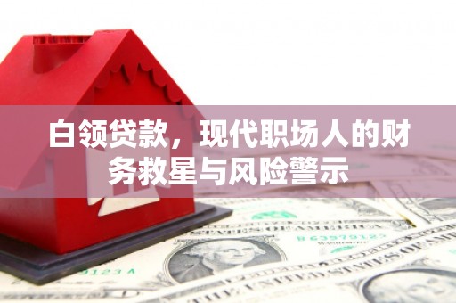 嵊州白领贷款，现代职场人的财务救星与风险警示