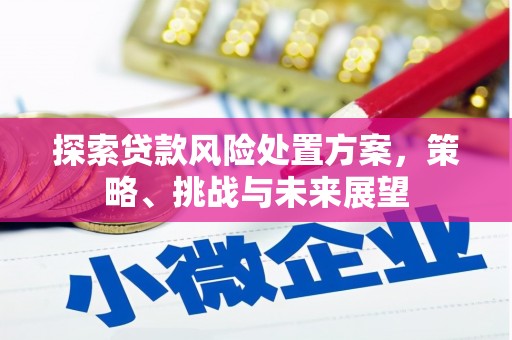 嵊州探索贷款风险处置方案，策略、挑战与未来展望