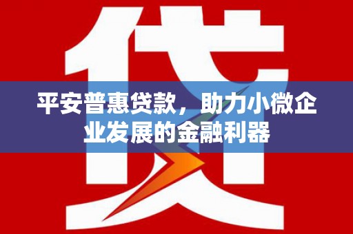 嵊州平安普惠贷款，助力小微企业发展的金融利器