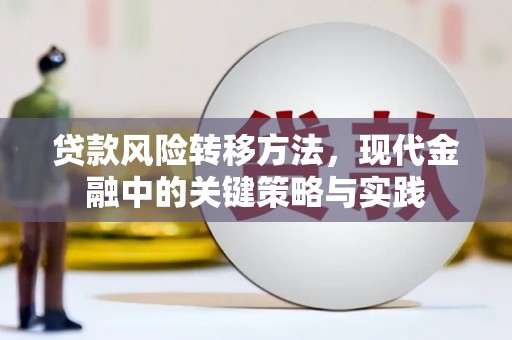 嵊州贷款风险转移方法，现代金融中的关键策略与实践