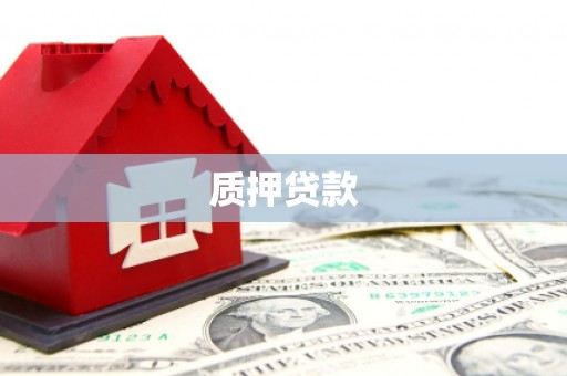 嵊州质押贷款