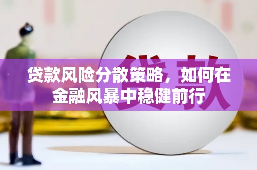 嵊州贷款风险分散策略，如何在金融风暴中稳健前行