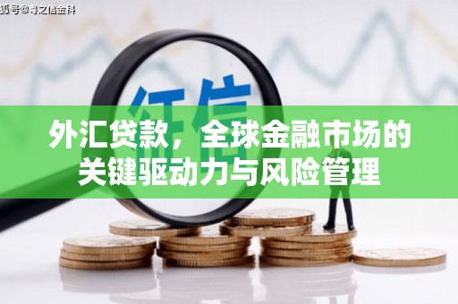 嵊州外汇贷款，全球金融市场的关键驱动力与风险管理