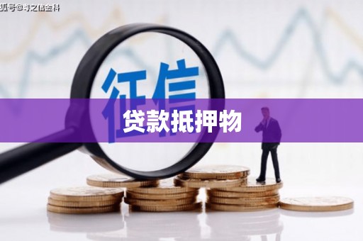 嵊州贷款抵押物