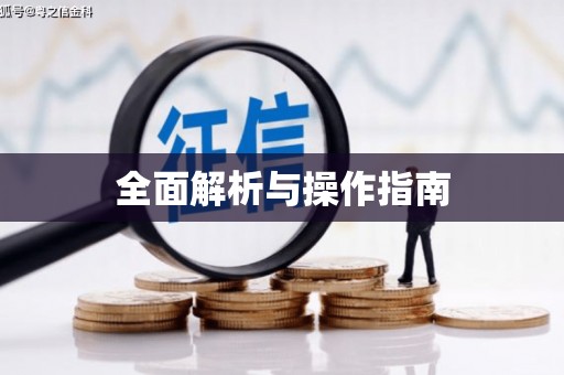 嵊州全面解析与操作指南