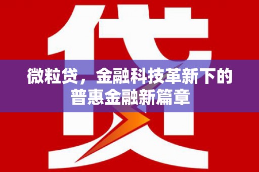 嵊州微粒贷，金融科技革新下的普惠金融新篇章