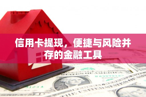 嵊州信用卡提现，便捷与风险并存的金融工具