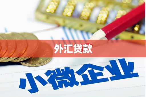 嵊州外汇贷款