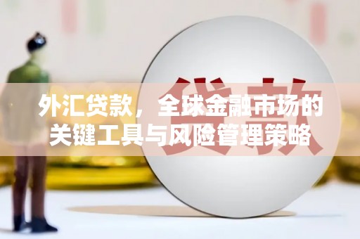 嵊州外汇贷款，全球金融市场的关键工具与风险管理策略