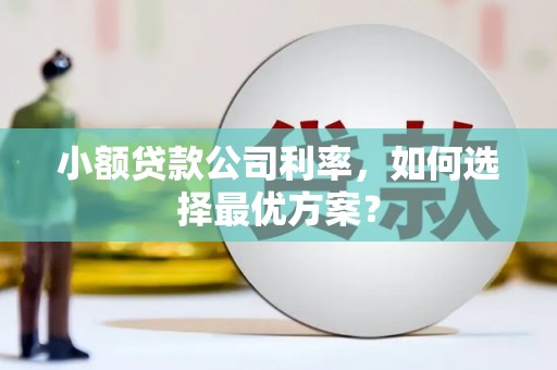 嵊州小额贷款公司利率，如何选择最优方案？