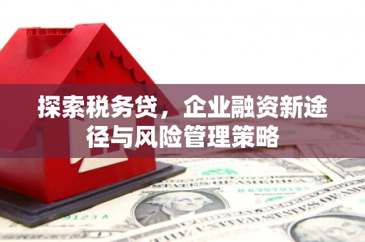 嵊州探索税务贷，企业融资新途径与风险管理策略