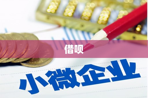 嵊州借呗