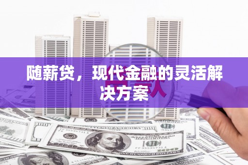 嵊州随薪贷，现代金融的灵活解决方案