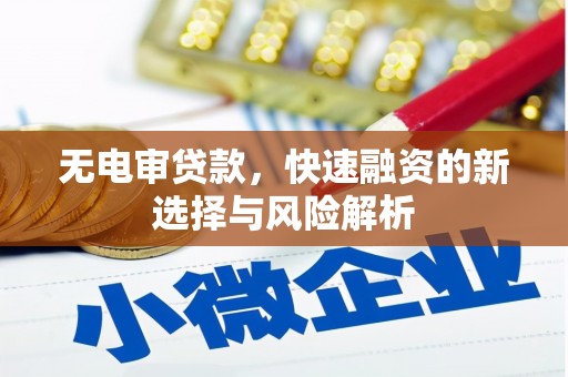 嵊州无电审贷款，快速融资的新选择与风险解析
