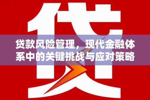 嵊州贷款风险管理，现代金融体系中的关键挑战与应对策略