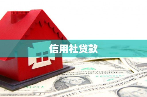 嵊州信用社贷款