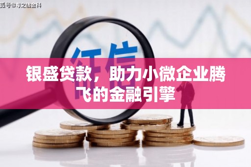 嵊州银盛贷款，助力小微企业腾飞的金融引擎