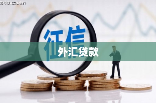 嵊州外汇贷款