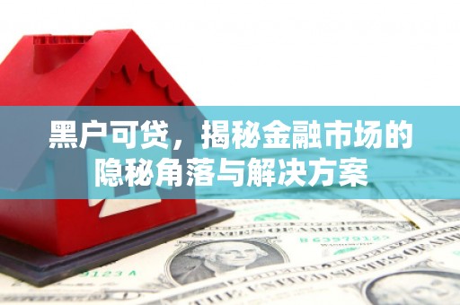 嵊州黑户可贷，揭秘金融市场的隐秘角落与解决方案