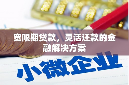嵊州宽限期贷款，灵活还款的金融解决方案
