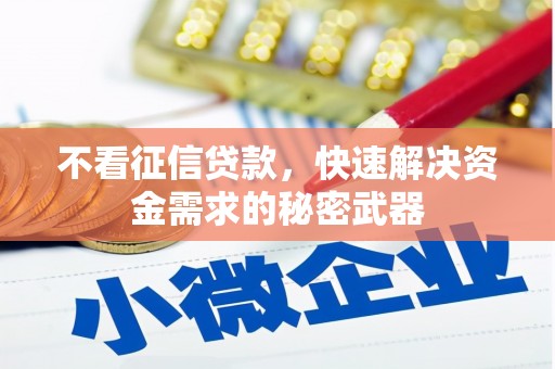 嵊州不看征信贷款，快速解决资金需求的秘密武器