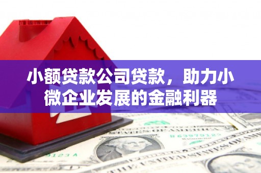 嵊州小额贷款公司贷款，助力小微企业发展的金融利器