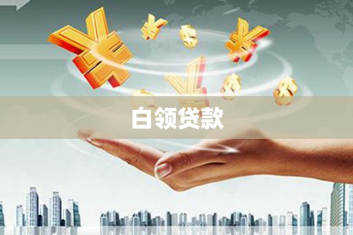 嵊州白领贷款