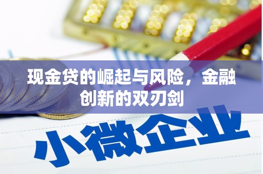 嵊州现金贷的崛起与风险，金融创新的双刃剑