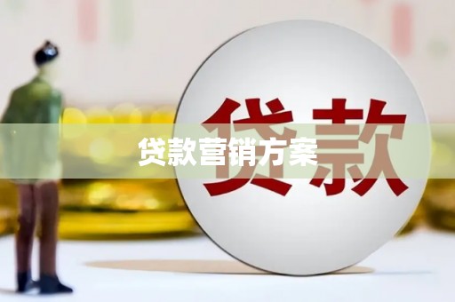 嵊州贷款营销方案