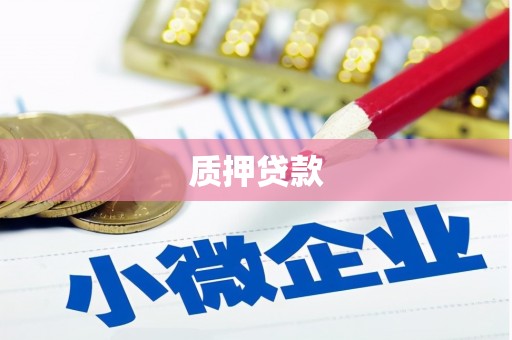 嵊州质押贷款