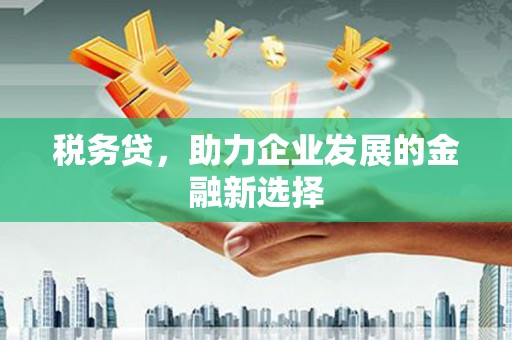嵊州税务贷，助力企业发展的金融新选择