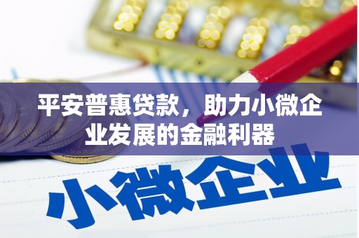 嵊州平安普惠贷款，助力小微企业发展的金融利器