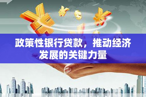 嵊州政策性银行贷款，推动经济发展的关键力量