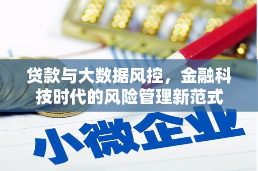 嵊州贷款与大数据风控，金融科技时代的风险管理新范式