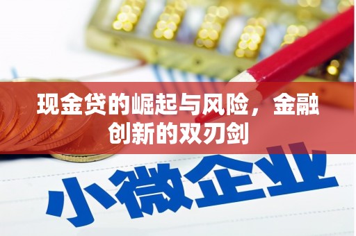 嵊州现金贷的崛起与风险，金融创新的双刃剑