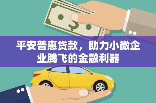 嵊州平安普惠贷款，助力小微企业腾飞的金融利器