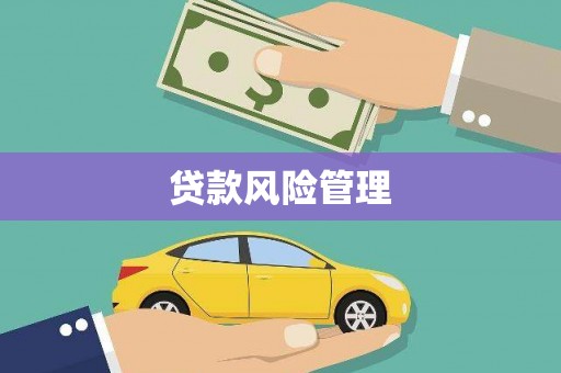 嵊州贷款风险管理