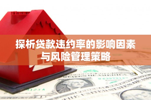 嵊州探析贷款违约率的影响因素与风险管理策略