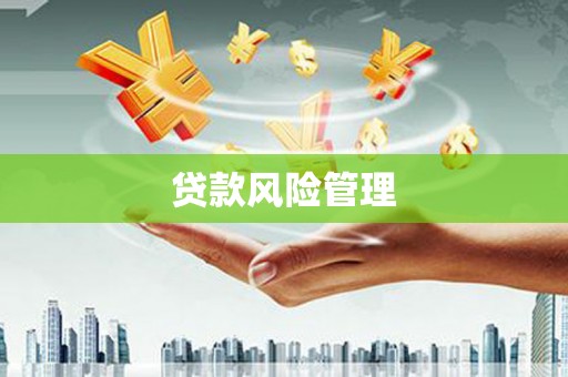 嵊州贷款风险管理