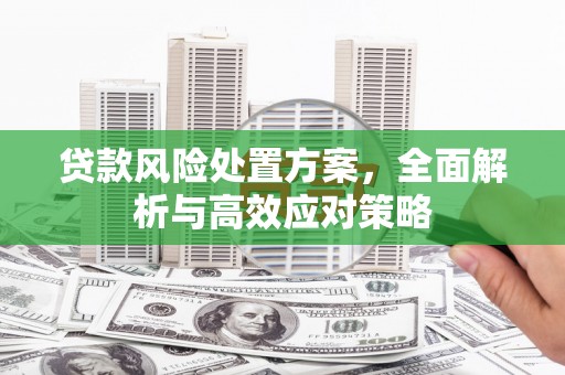 嵊州贷款风险处置方案，全面解析与高效应对策略